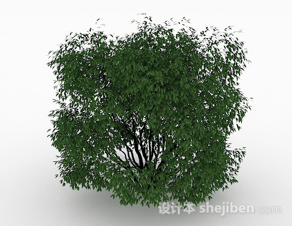 免费绿色小叶子观景树3d模型下载