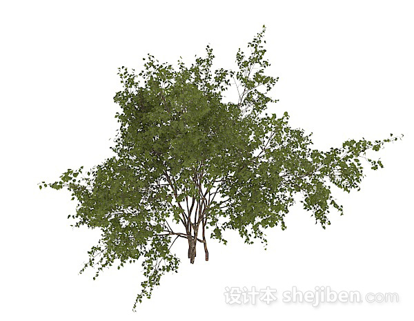 现代风格圆形小树叶灌木丛3d模型下载