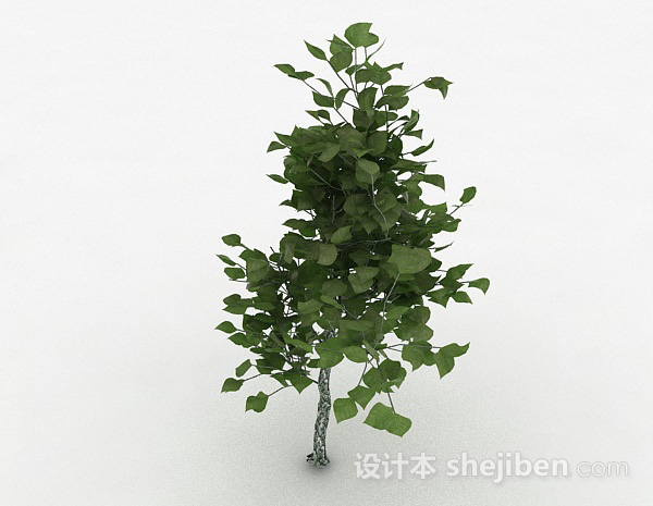 设计本绿色椭圆形树叶观赏型植物3d模型下载