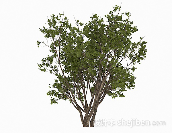 设计本树丛3d模型下载