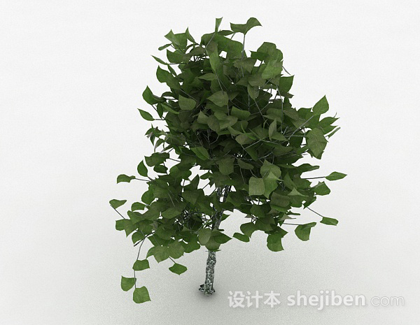 设计本椭圆形树叶观赏植物3d模型下载