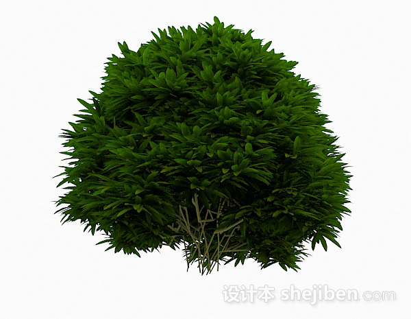 免费低矮绿色植物3d模型下载
