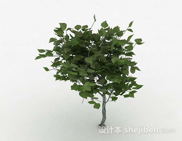 绿色椭圆形树叶观赏植物3d模型下载