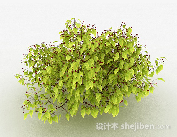 黄色圆形叶子家庭观赏植物3d模型下载