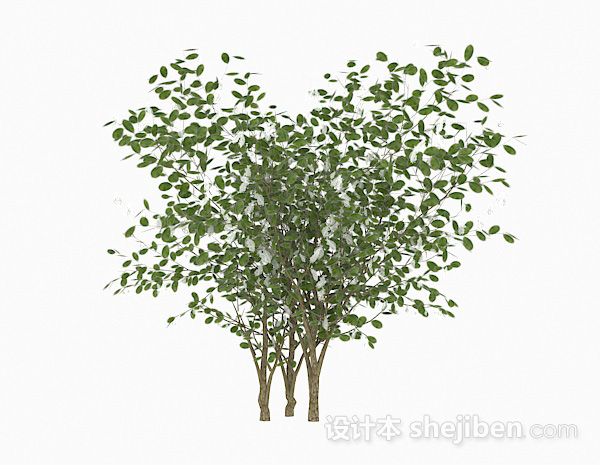 免费椭圆形树叶灌木丛3d模型下载