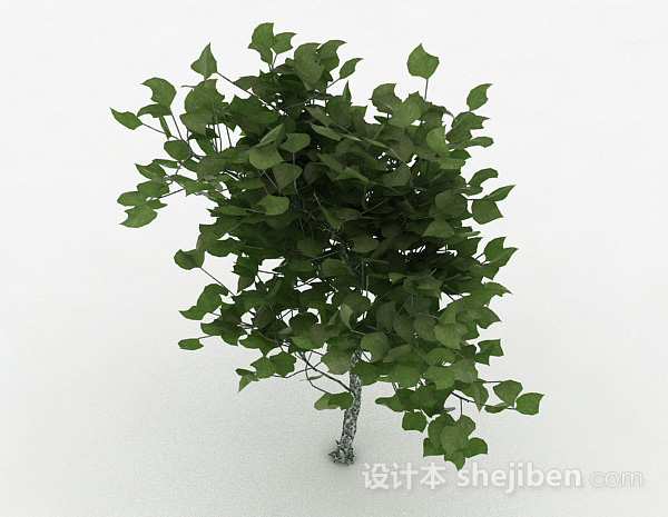 免费绿色椭圆形树叶植物3d模型下载