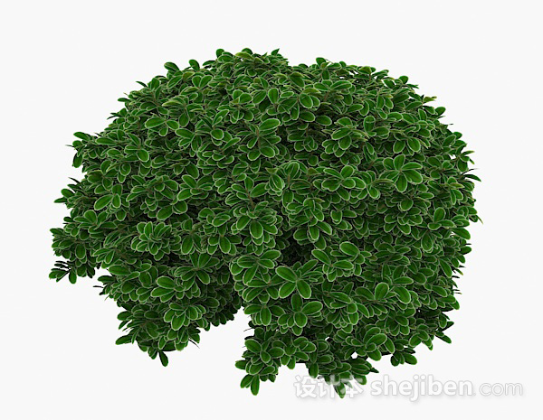 现代风格绿色圆形白边叶子植物3d模型下载