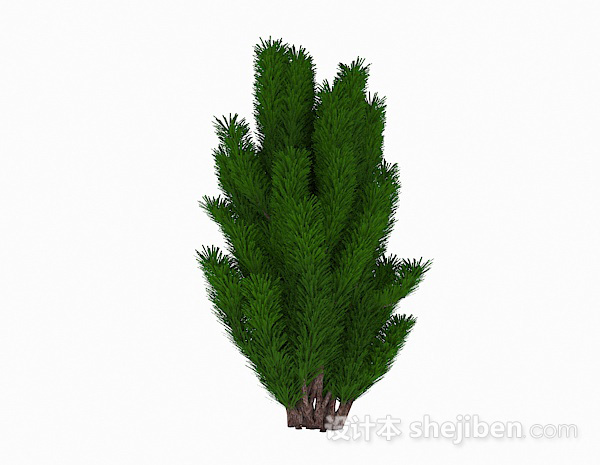 设计本绿色针状低矮灌木3d模型下载