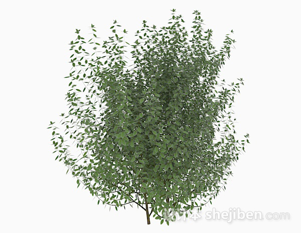 设计本绿色树叶低矮灌木3d模型下载
