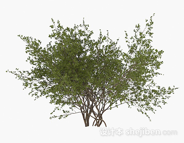设计本圆形小树叶灌木3d模型下载