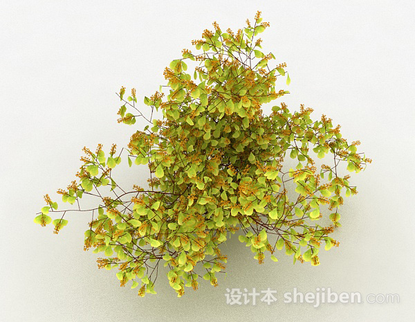 设计本黄色圆形叶子观赏植物3d模型下载