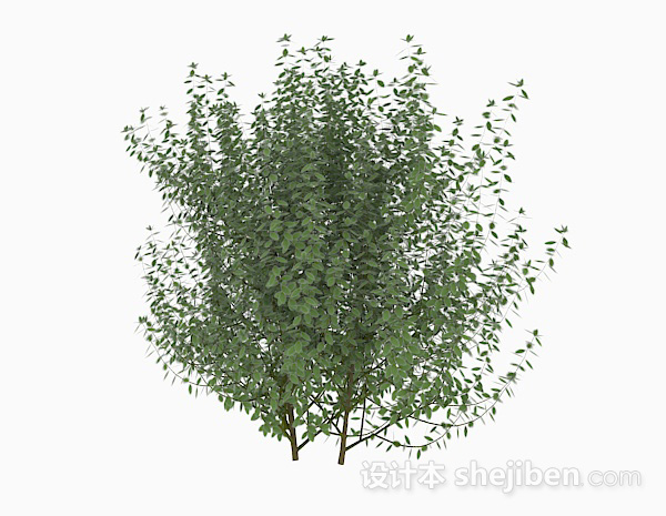现代风格绿色树叶低矮灌木3d模型下载