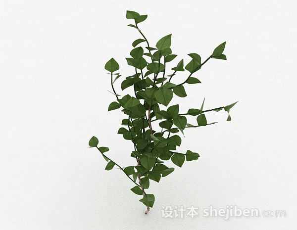 设计本椭圆形树叶观赏植物3d模型下载