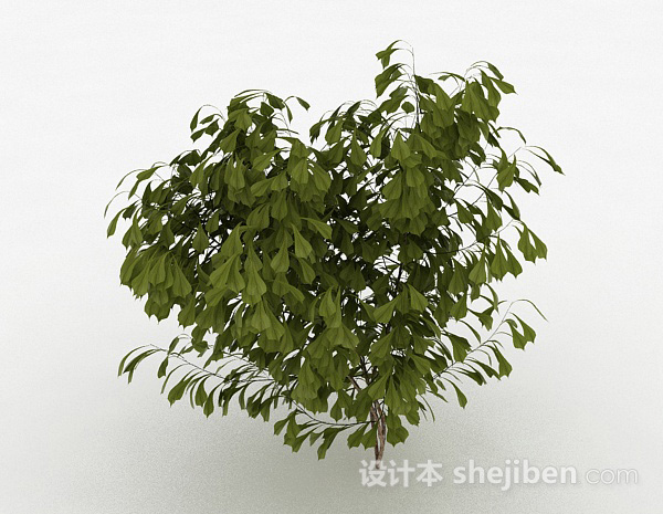 设计本倒卵形树叶灌木树3d模型下载