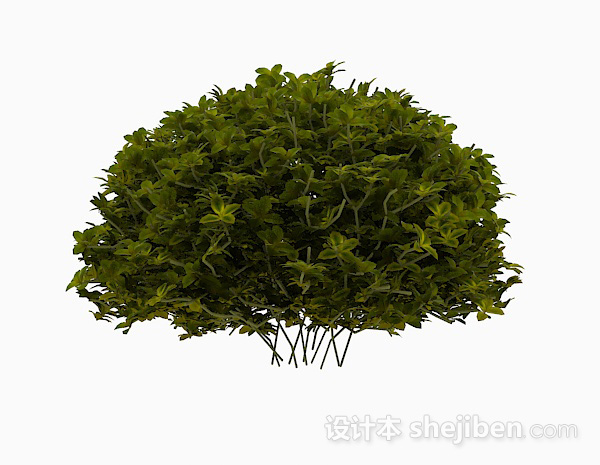 现代风格嫩绿色椭圆形叶子灌木3d模型下载