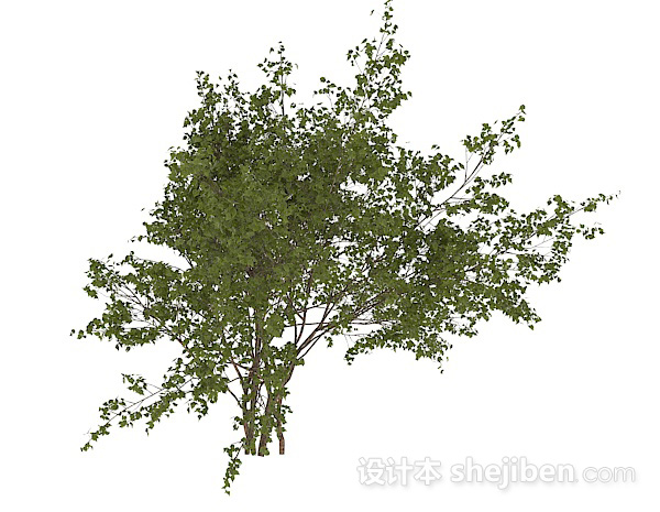 免费圆形小树叶灌木丛3d模型下载