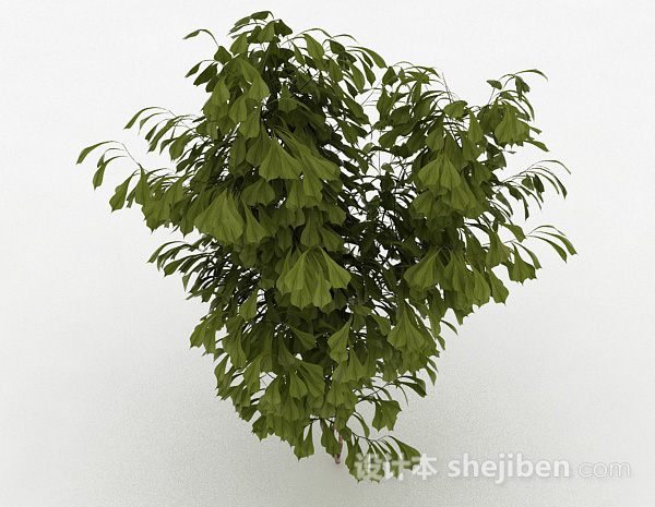 免费观赏型灌木3d模型下载