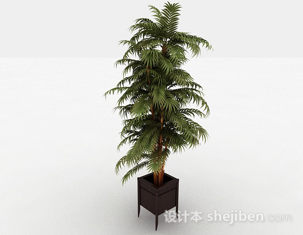 现代风格绿色家庭景观树3d模型下载