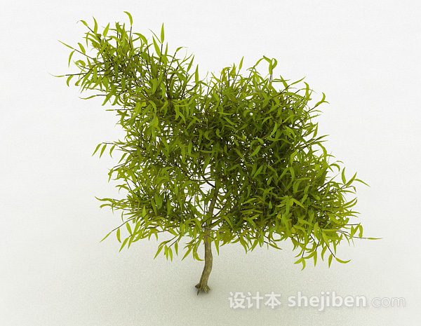 嫩黄色树叶观赏植物3d模型下载