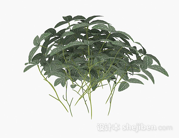 现代风格绿色三叶植物3d模型下载