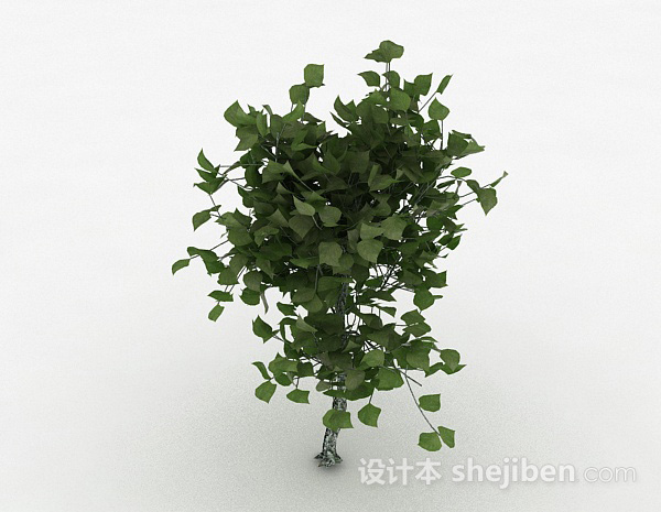 现代风格椭圆形树叶观赏植物3d模型下载
