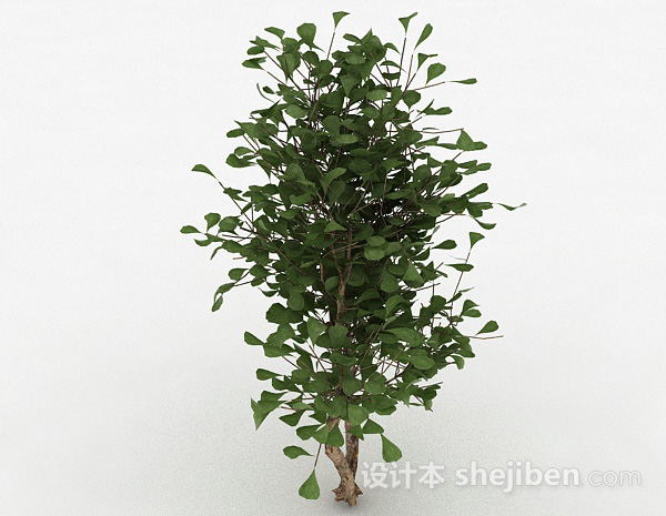 免费绿色圆形树叶家庭观赏型树3d模型下载
