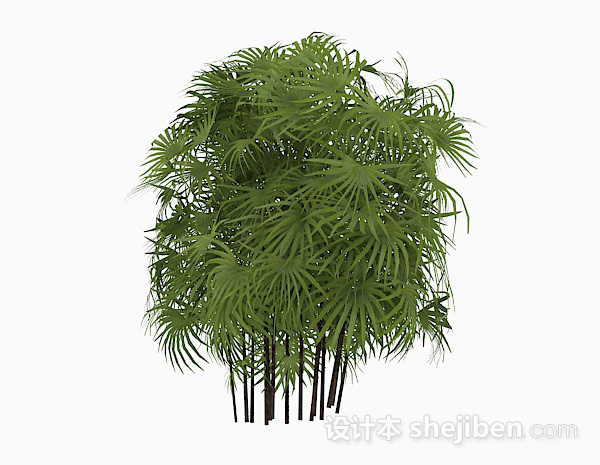 现代风格绿色园林棕树3d模型下载