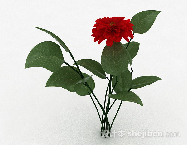 设计本红色室外花卉植物3d模型下载