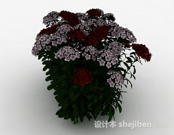 其它双色小花观赏型植物3d模型下载
