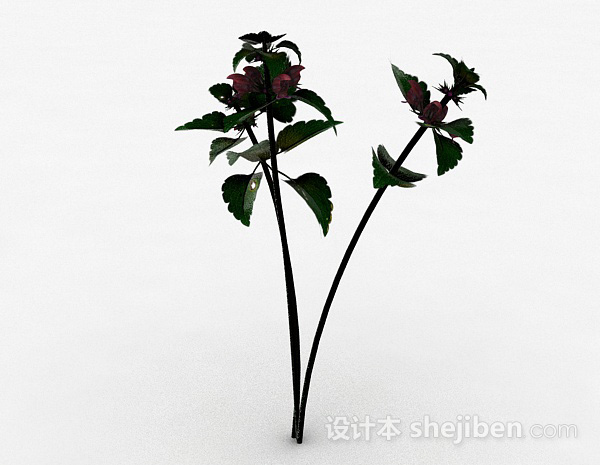 设计本室外绿色花卉3d模型下载