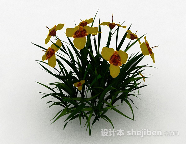 黄色花朵观赏花卉3d模型下载