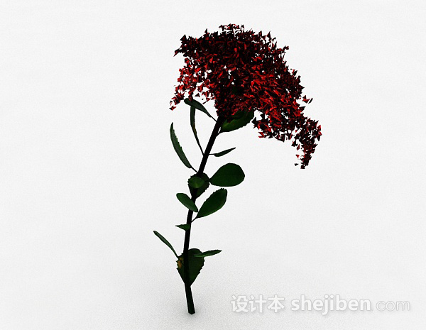 设计本单支红花植物3d模型下载