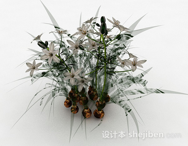 免费祘科植物花卉3d模型下载