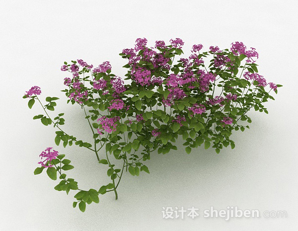 室外紫色装饰花卉3d模型下载