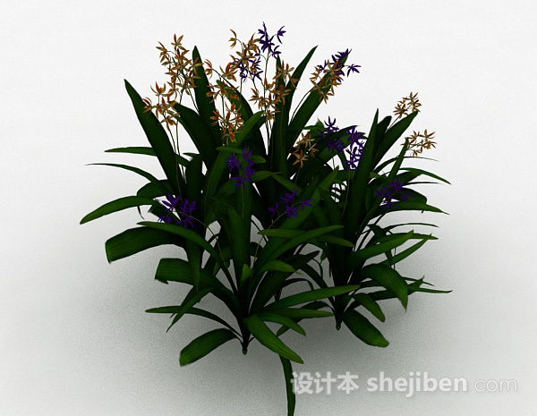 设计本公园多色观赏型花卉植物3d模型下载