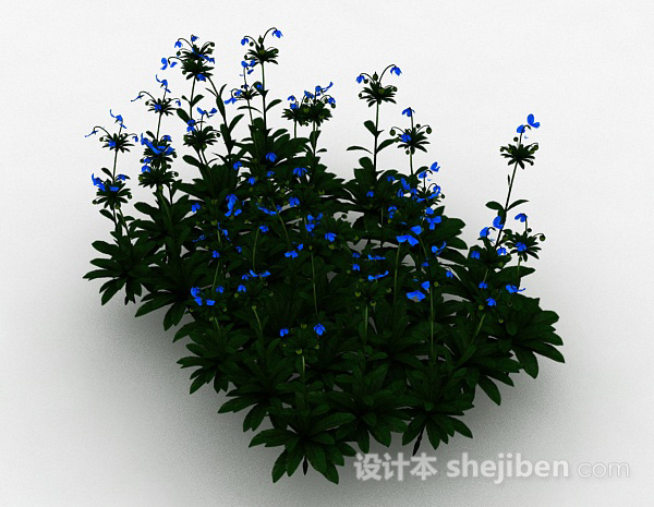 其它蓝色小花室外花丛3d模型下载