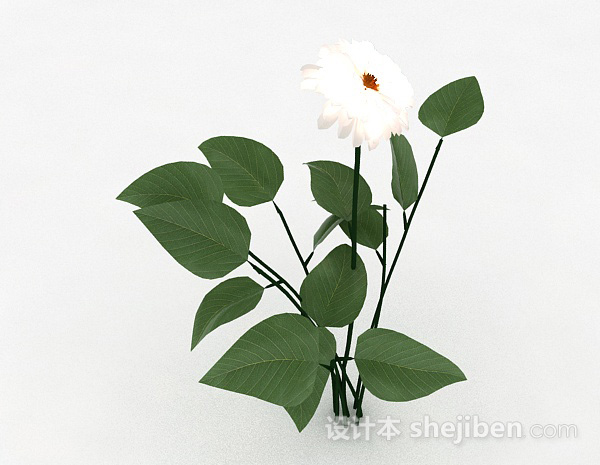 免费白色室外花卉植物3d模型下载