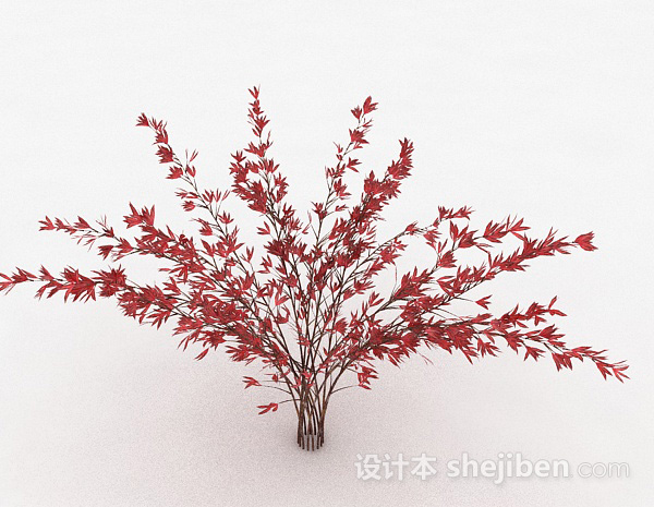 免费观赏型红色树叶植物3d模型下载