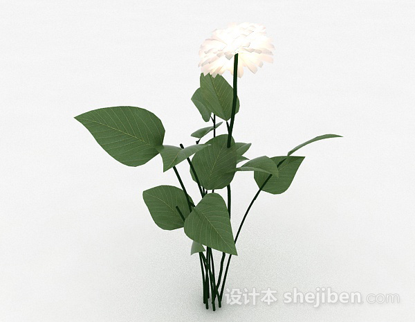 免费白色花卉植物3d模型下载
