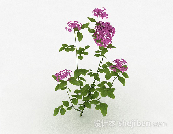 其它紫色户外花卉植物3d模型下载