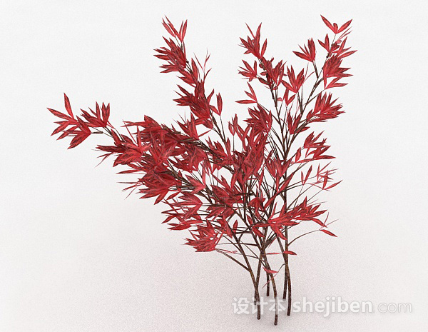 其它观赏型红色树叶植物3d模型下载
