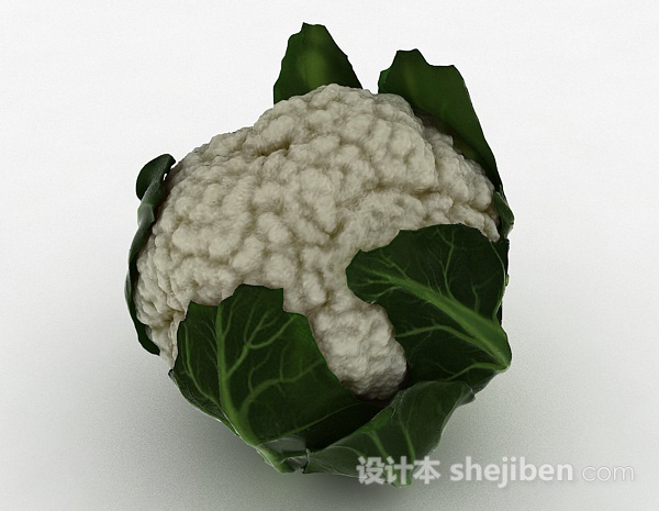 其它白色花包菜3d模型下载