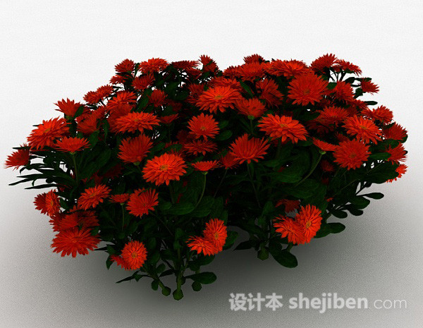 免费红色雏菊观赏花卉3d模型下载