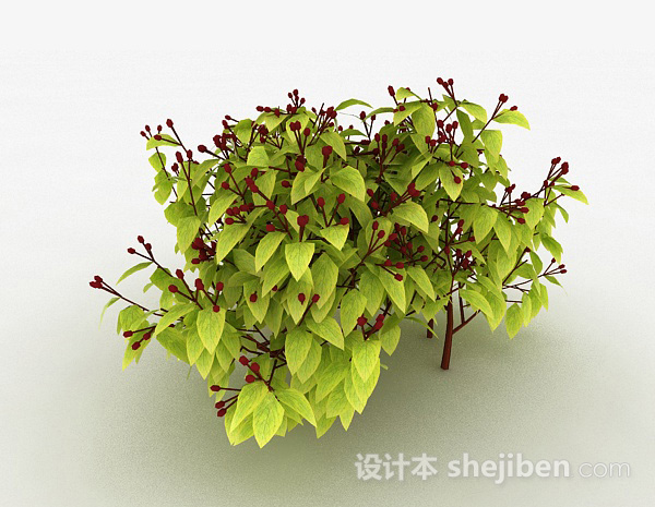 设计本浅绿色树叶植物3d模型下载