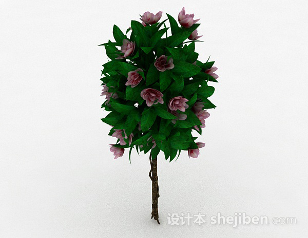 室外植物花卉3d模型下载