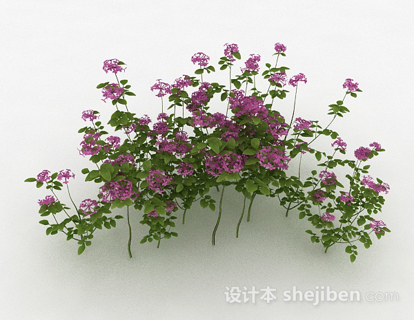 设计本室外紫色装饰花卉3d模型下载