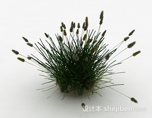 绿色小草3d模型下载