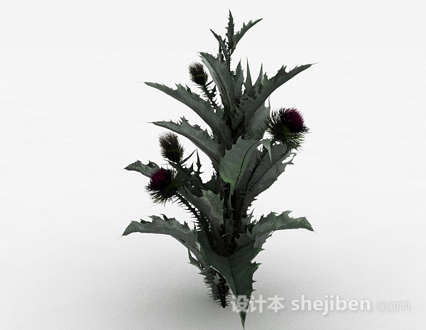 其它花园装饰植物花卉3d模型下载