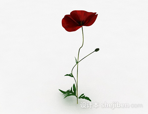 红色花卉植物3d模型下载
