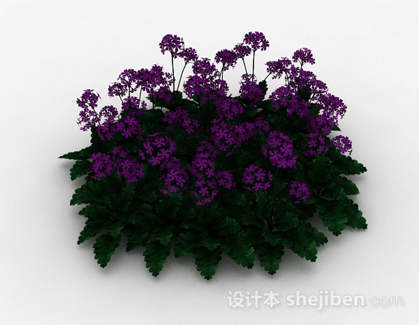 其它园林紫色花朵观赏花卉3d模型下载